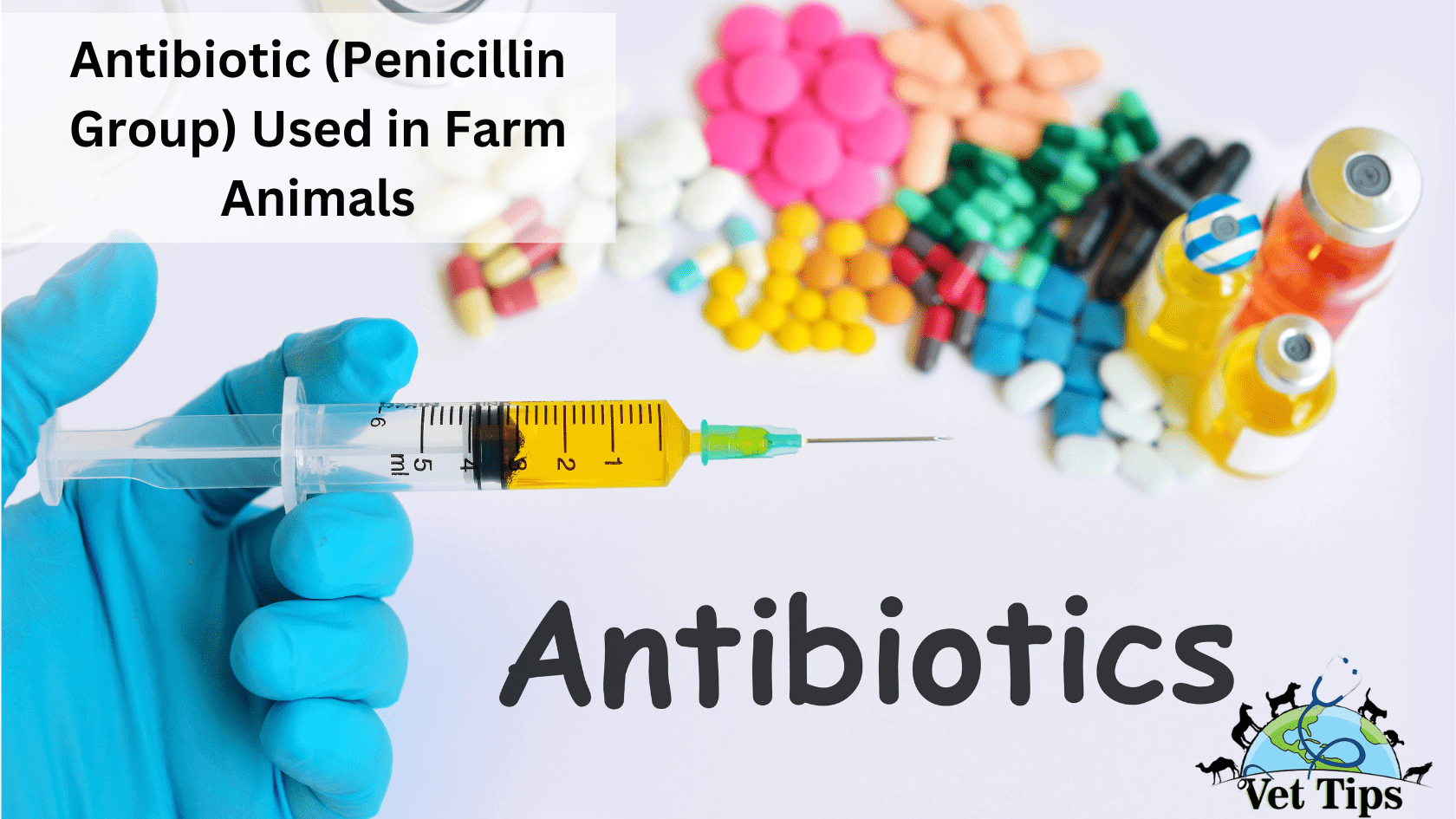 Antibiotic (Penicillin Group) Used in Farm Animals