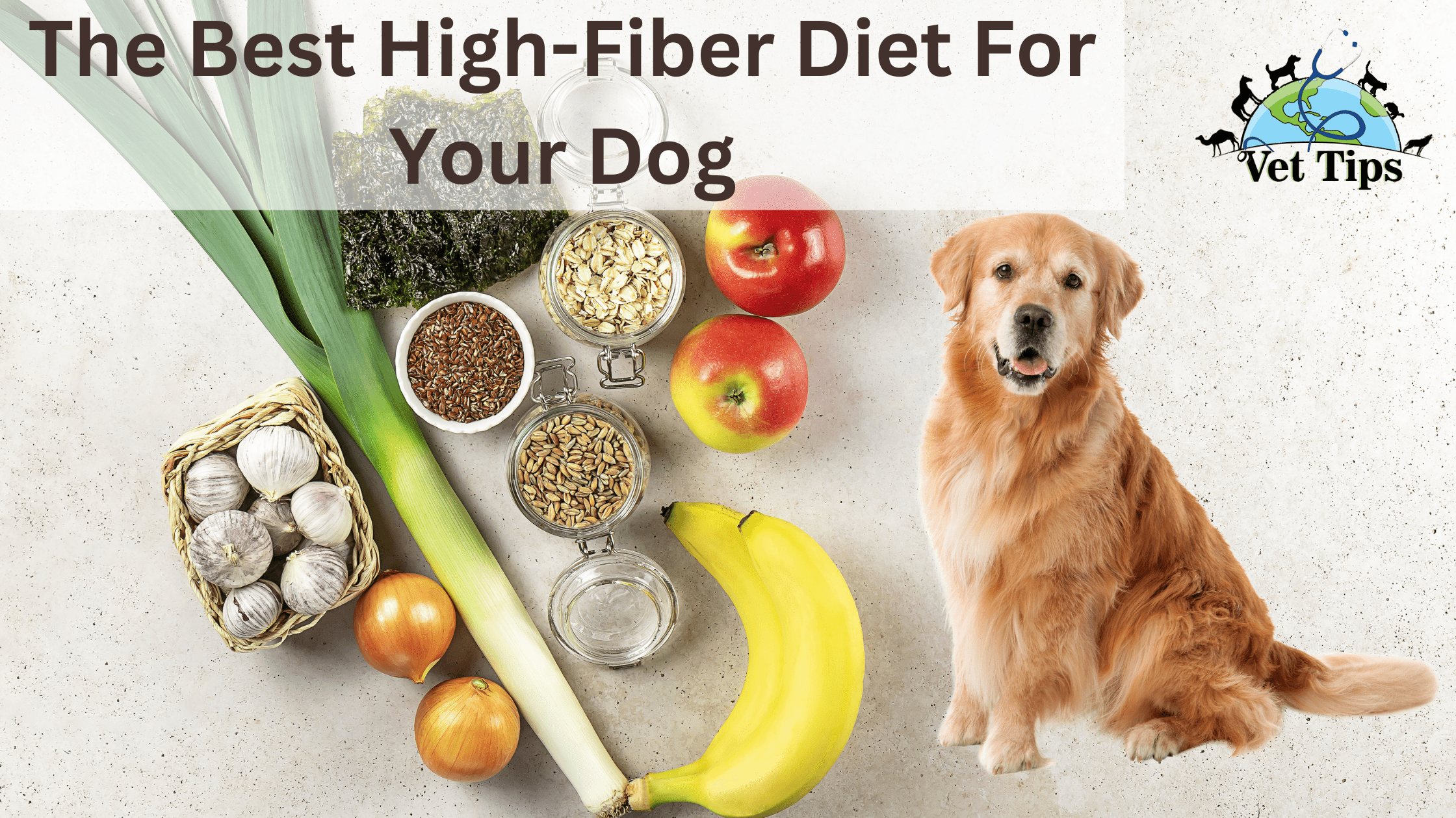 The Best High-Fiber Diet For Your Dog