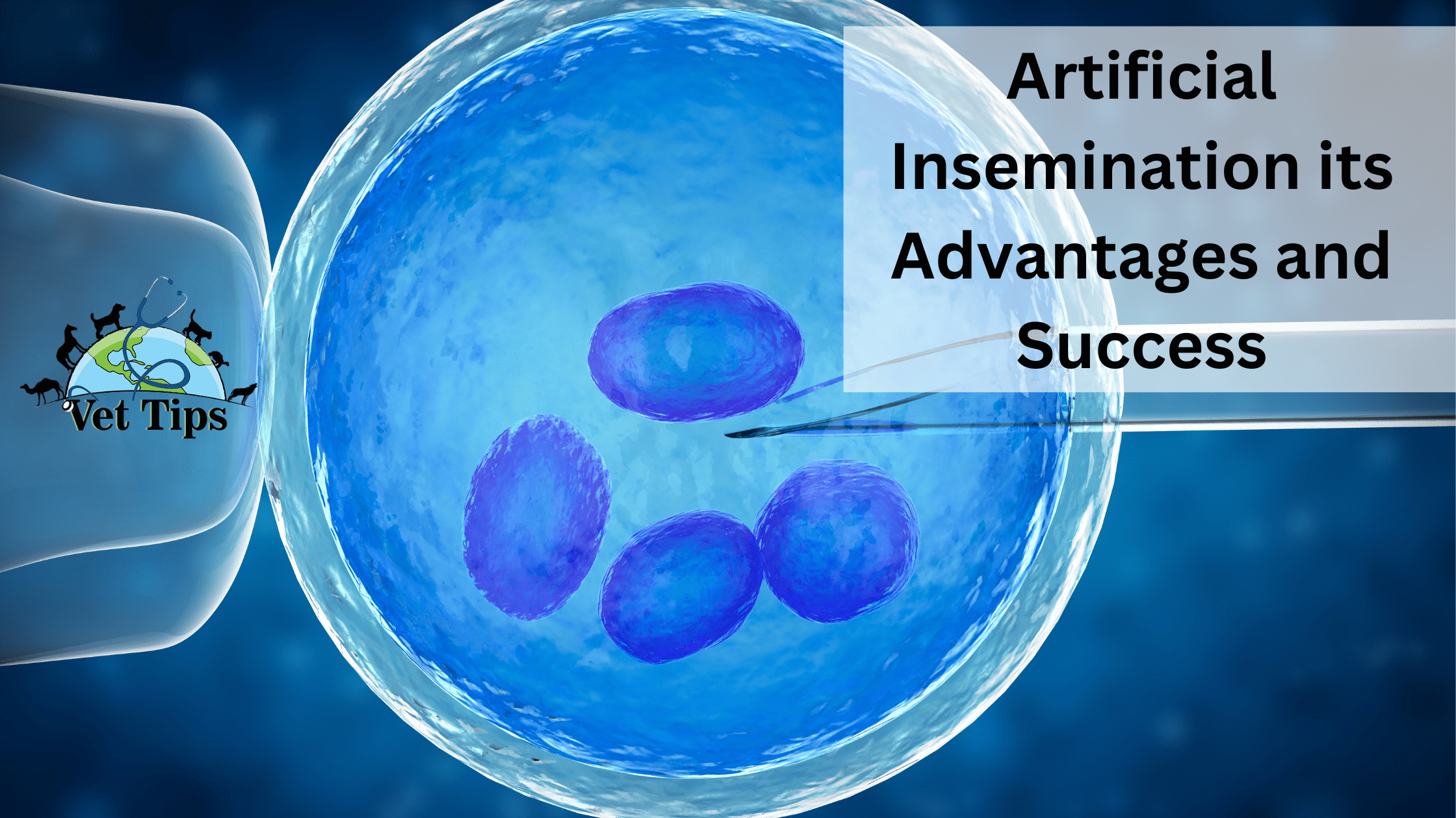 Artificial Insemination its Advantages and Success