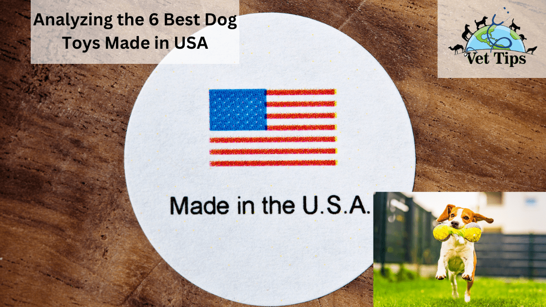 Analyzing the 6 Best Dog Toys Made in USA