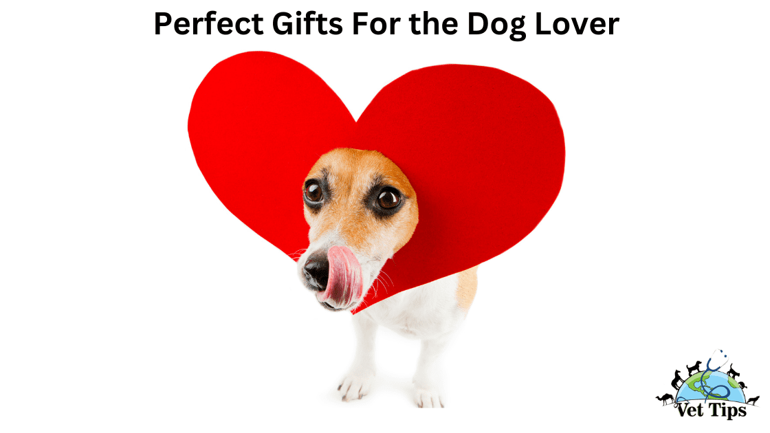 Perfect Gifts For the Dog Lover