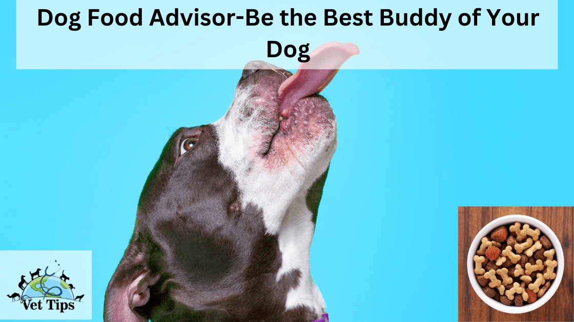 Dog Food Advisor-Be the Best Buddy of Your Dog
