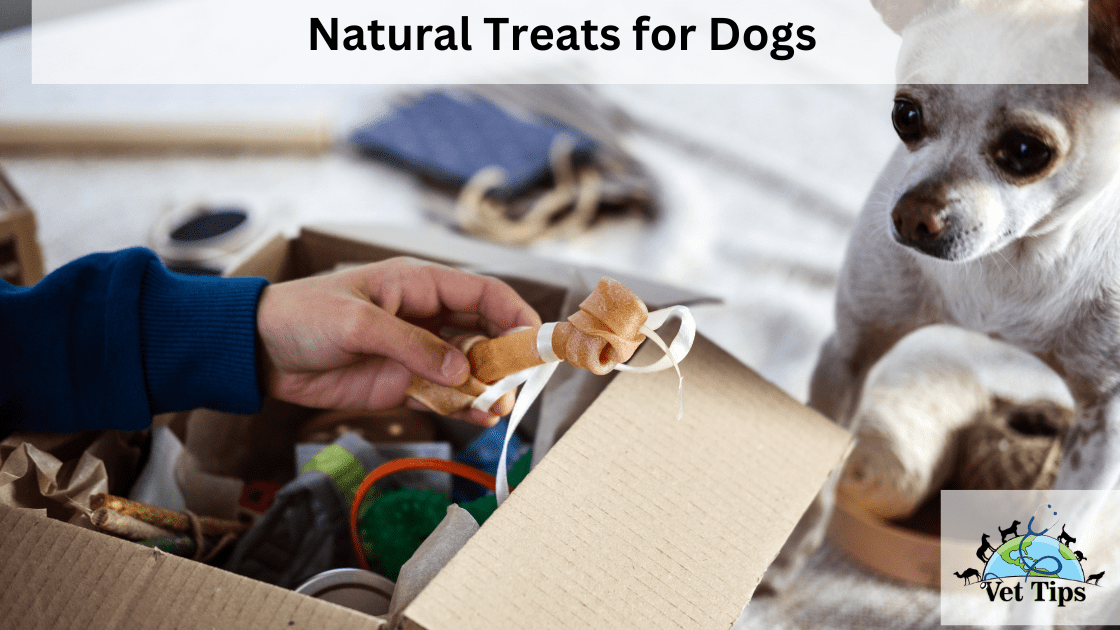 Natural Treats for Dogs