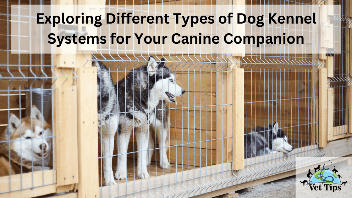 Exploring Different Types of Dog Kennel Systems for Your Canine Companion