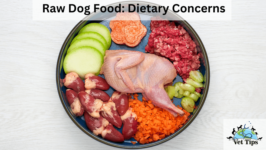Raw Dog Food: Dietary Concerns