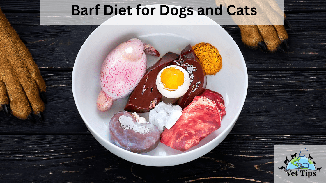 Barf Diet for Dogs and Cats