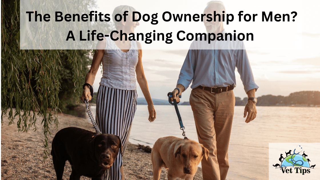 The Benefits of Dog Ownership for Men? A Life-Changing Companion
