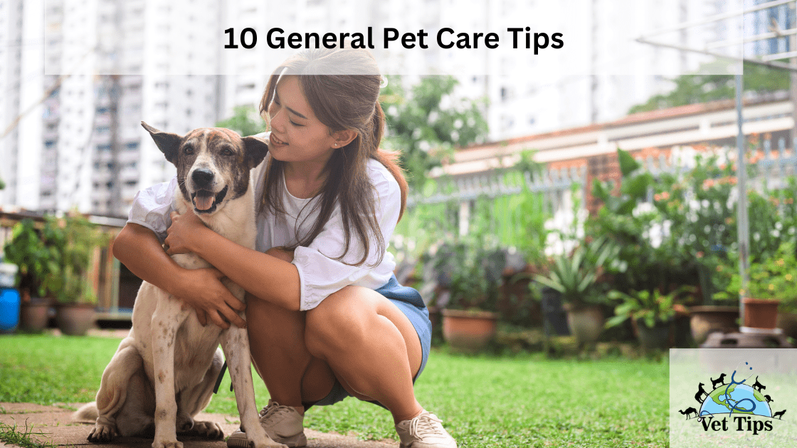 10 General Pet Care Tips