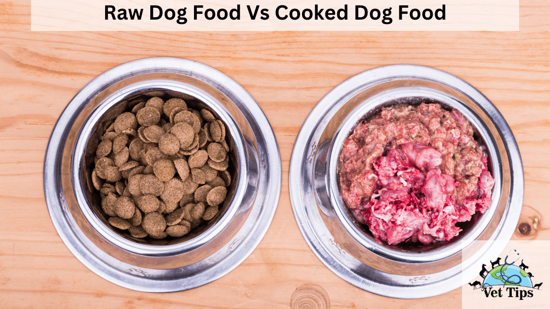 Raw Dog Food Vs Cooked Dog Food