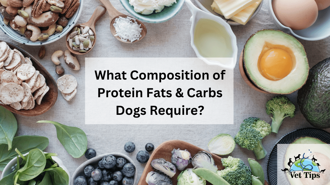 What Composition of Protein Fats & Carbs Dogs Require?