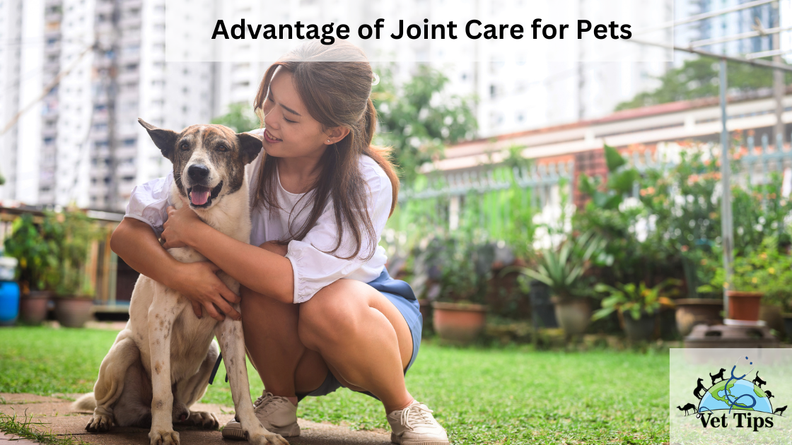 Advantage of Joint Care for Pets