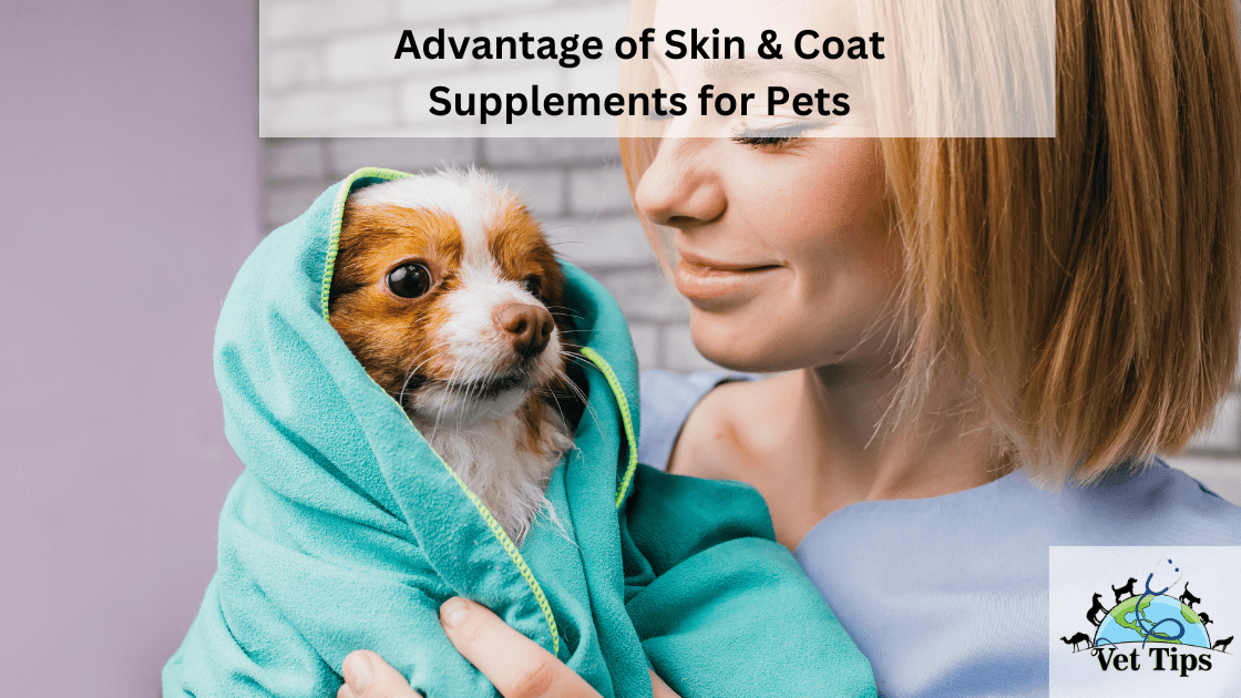 Advantage of Skin & Coat Supplements for Pets