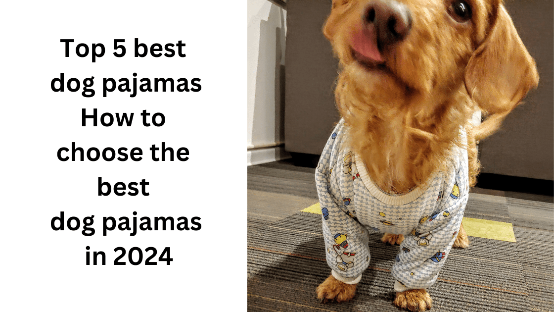 Top 5 best dog pajamas | How to choose the best dog pajamas in 2024