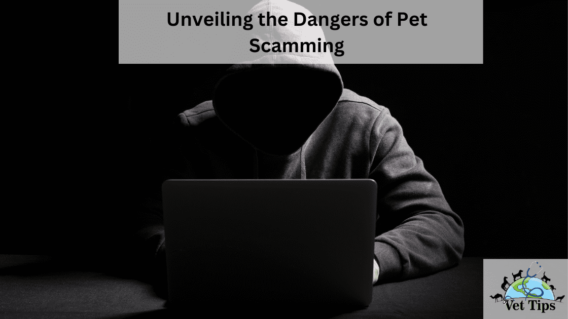 Unveiling the Dangers of Pet Scamming