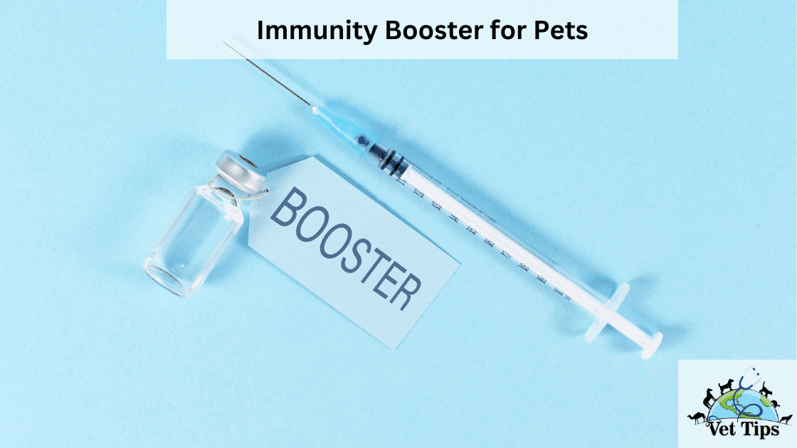 Immunity Booster for Pets