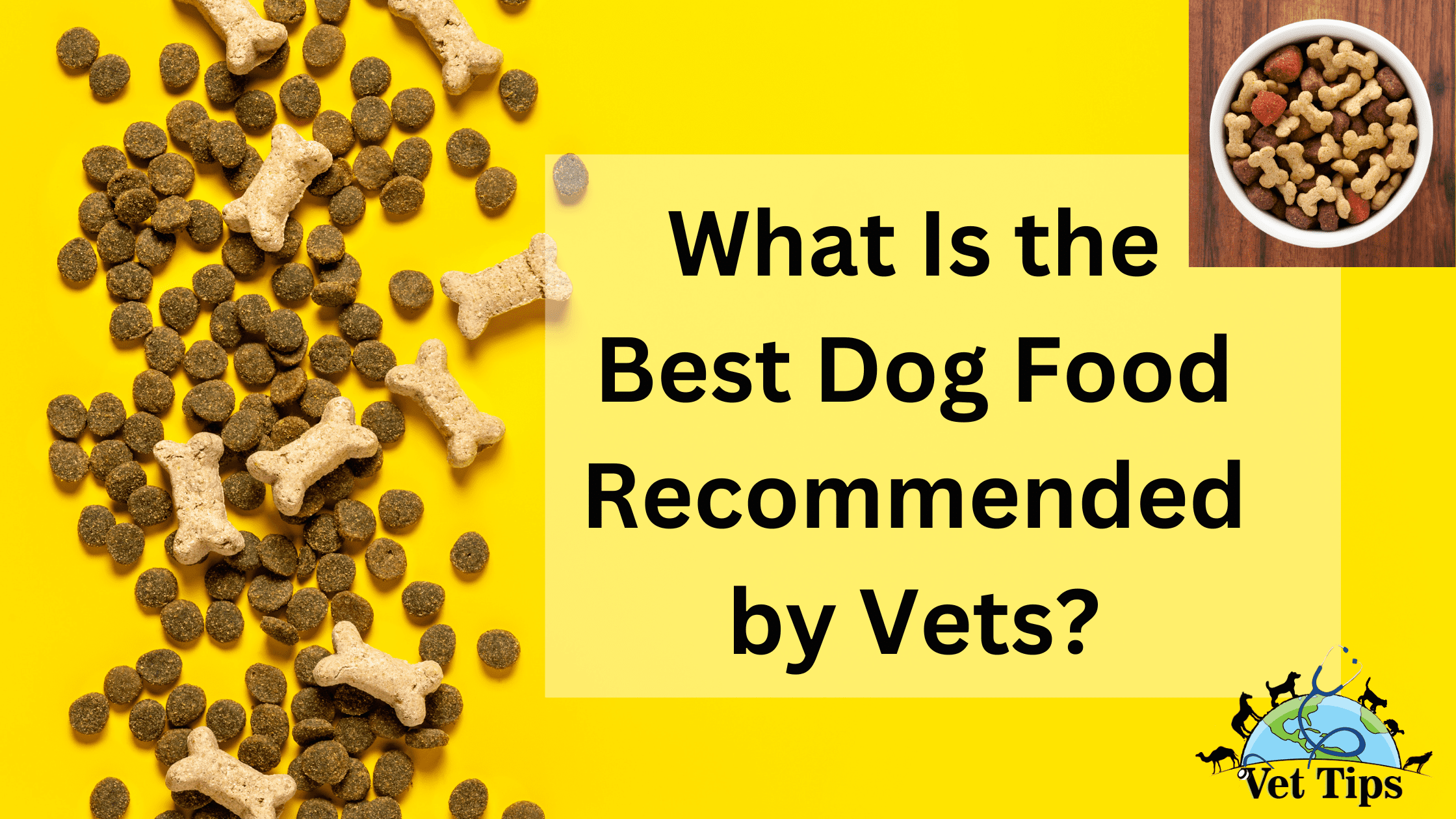 What Is the Best Dog Food Recommended by Vets?