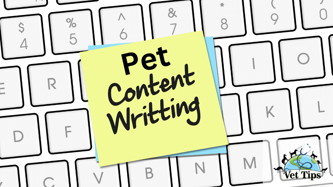 Pet Content Writing (Vet Tips)
