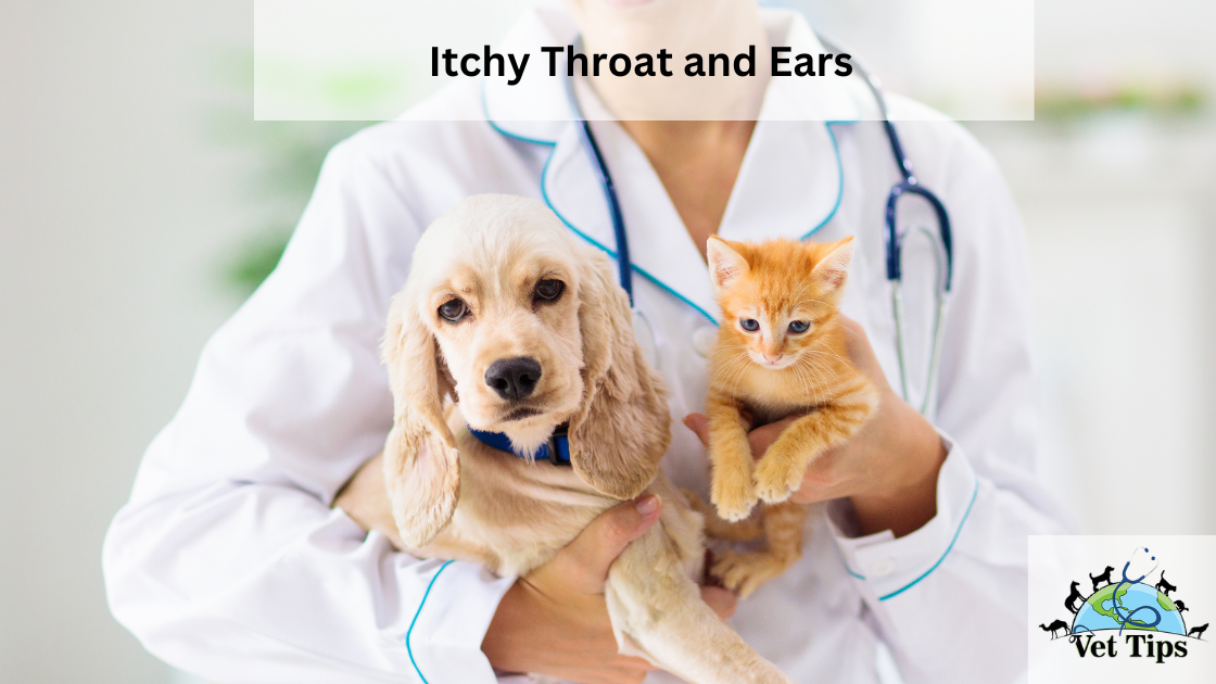 Itchy Throat and Ears in Pets