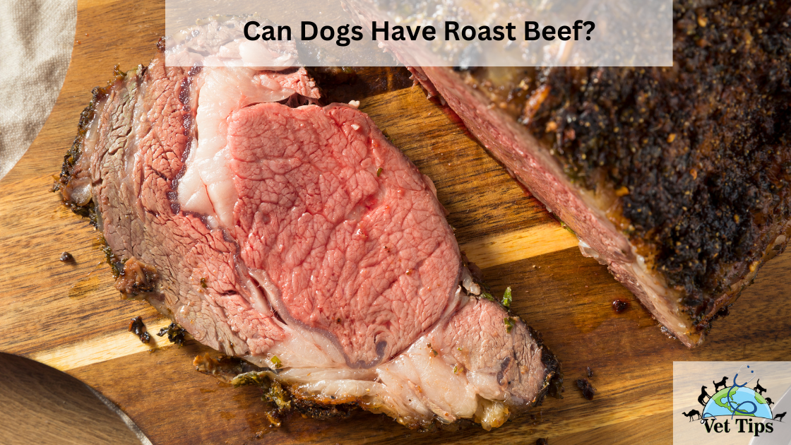 Can Dogs Have Roast Beef?