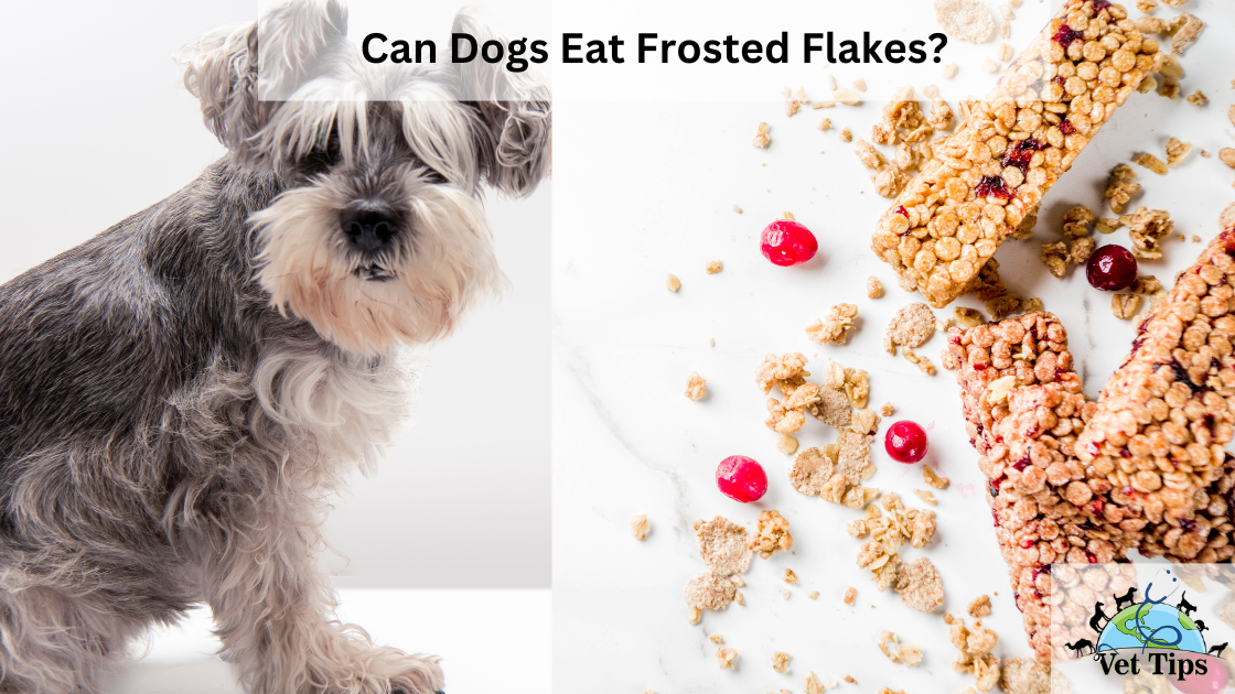 Can Dogs Eat Frosted Flakes?