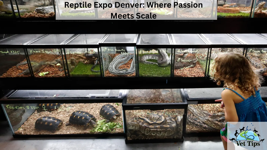 Reptile Expo Denver: Where Passion Meets Scale