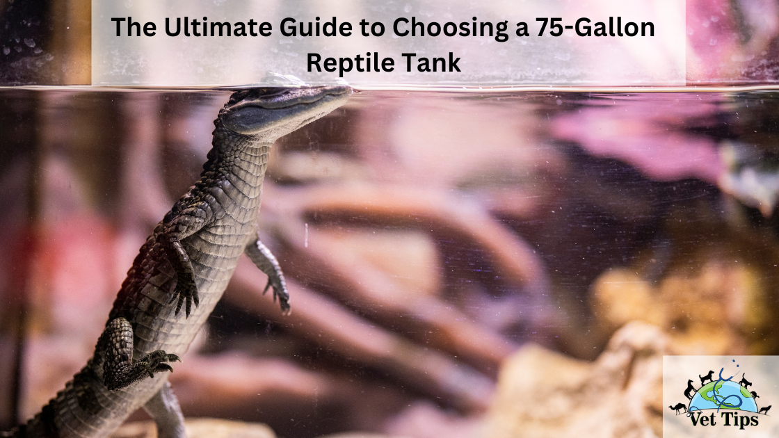 The Ultimate Guide to Choosing a 75-Gallon Reptile Tank